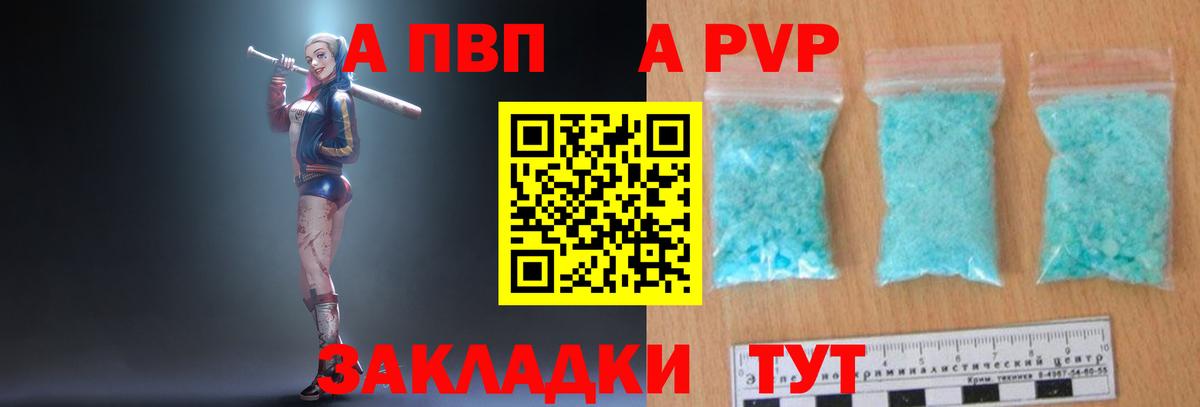 Альфа ПВП СК Мурманск