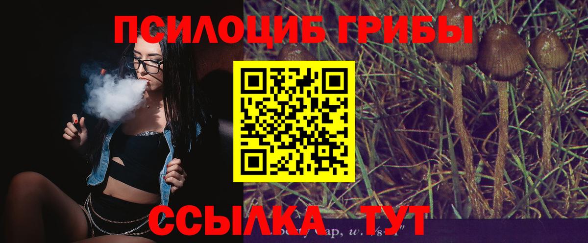 Мурманск  Псилоцибиновые грибы ЛСД  Вход с VPN  где купить наркотик  Галлюциногенные грибы Magic Shrooms 